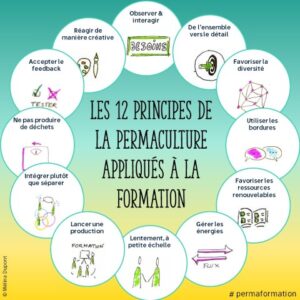 Les 12 principes de permaculture appliqués à la formation